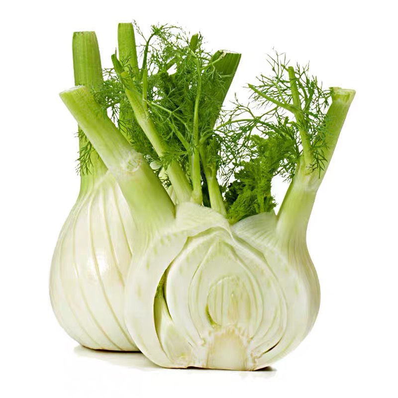 新鲜蔬菜荷兰球茎茴香西餐香料茴香根配菜沙拉菜1斤/3斤/5斤