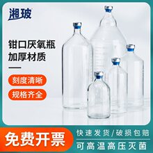 生物发酵罐湘玻钳口瓶厌氧瓶顶空瓶血清反应玻璃瓶密封反应瓶培养