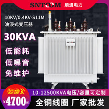 S11M大型工业油浸式电力配电杆上变压器户外高压10kv250全铜30kva