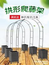 园艺拱门支架拱形阳台葡萄月季植物花盆庭院户外花架爬藤架种植箱