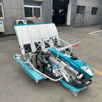 4行多行汽油手推水稻插秧补苗机 全自动步进式育秧盘秧苗种植机