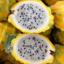 【百果园店】海南夏威夷木瓜牛奶红心冰糖热带水果3/5/8斤整箱