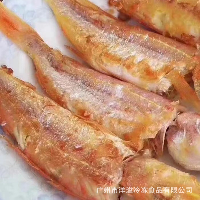 红三鱼 冷冻 金线鱼 三去红三鱼 无头红衫鱼 油炸香煎 员工餐福食
