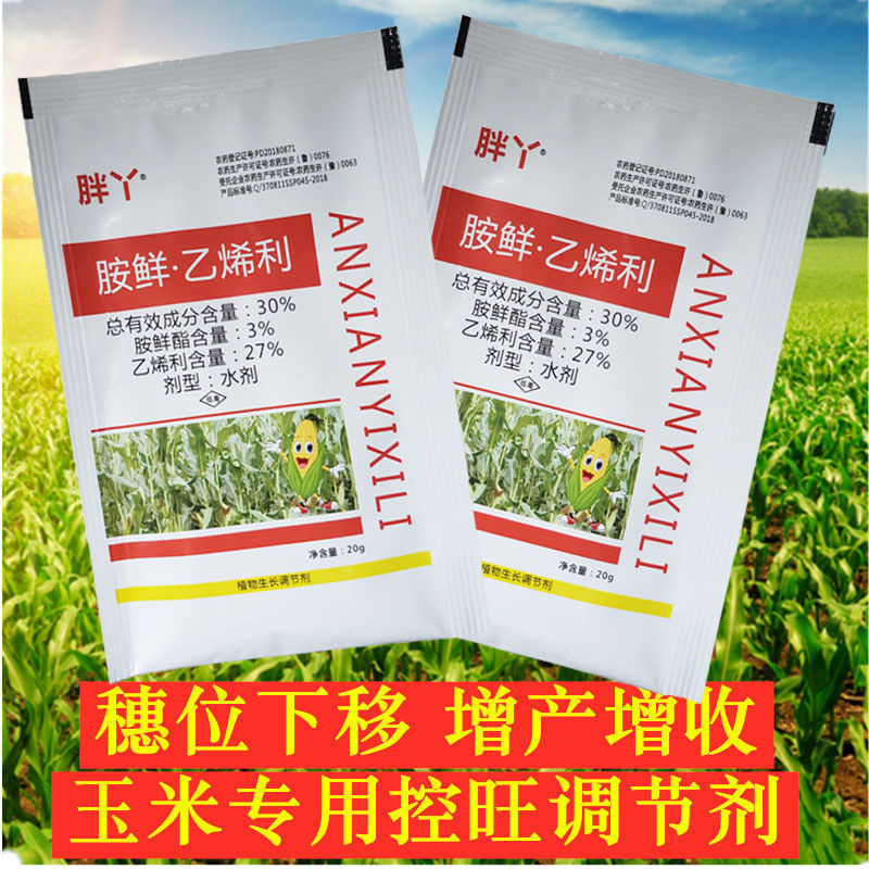 胖丫 胺鲜酯乙烯利增产药玉米控旺药抗病抗倒生长调节剂20克
