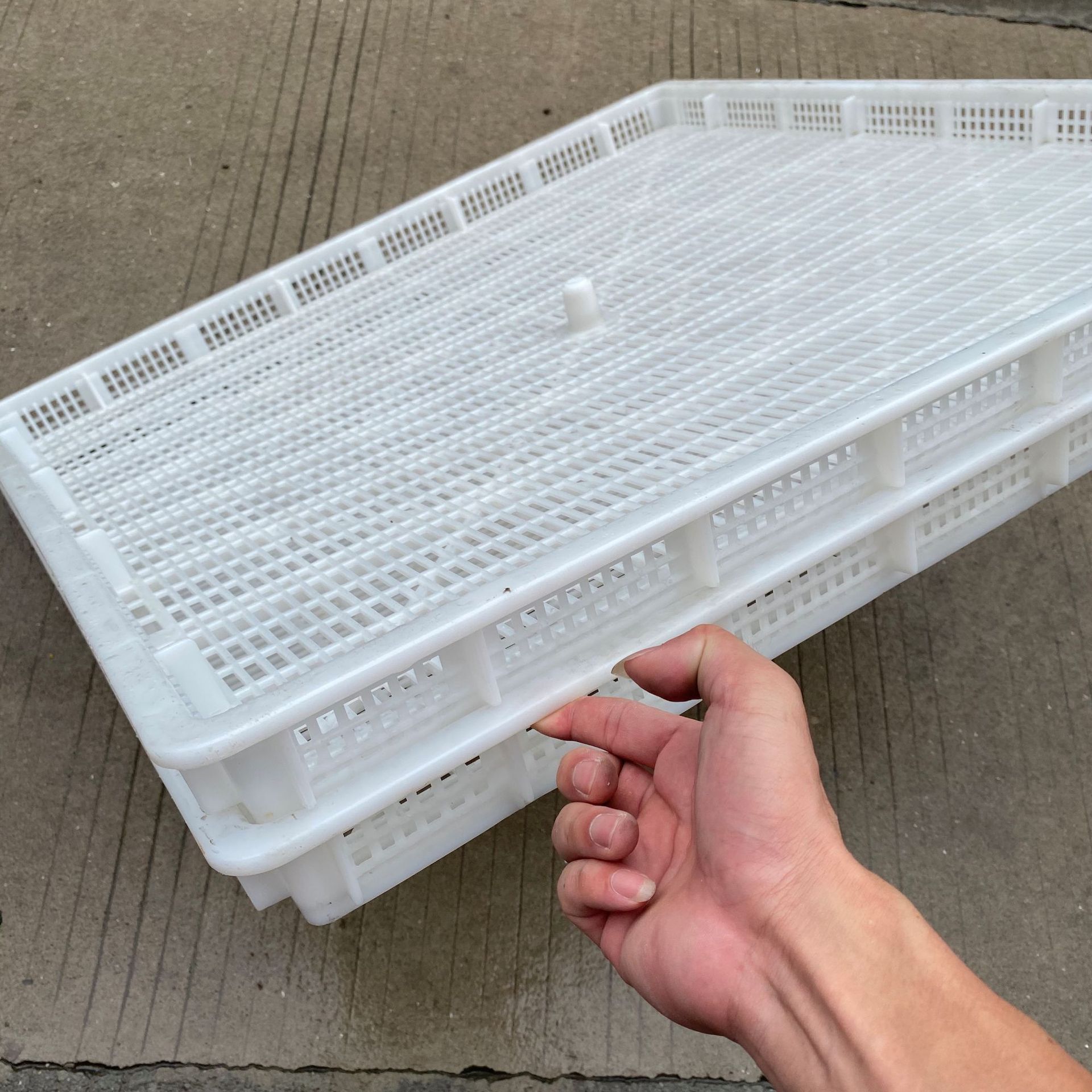 塑料烘干盘食品干果晾晒盘冷冻器1080网格冷冻塑胶托盘沥水海鲜筐