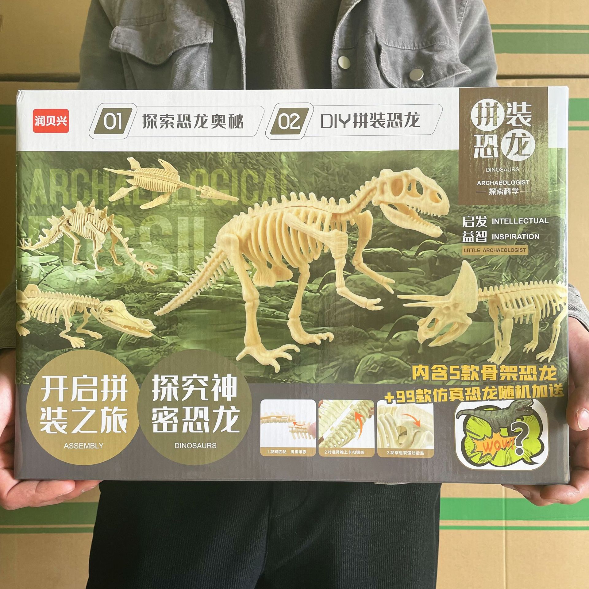 儿童男孩益智认知拆拼装三角龙翼龙恐龙骨架地摊29元模式机构送礼