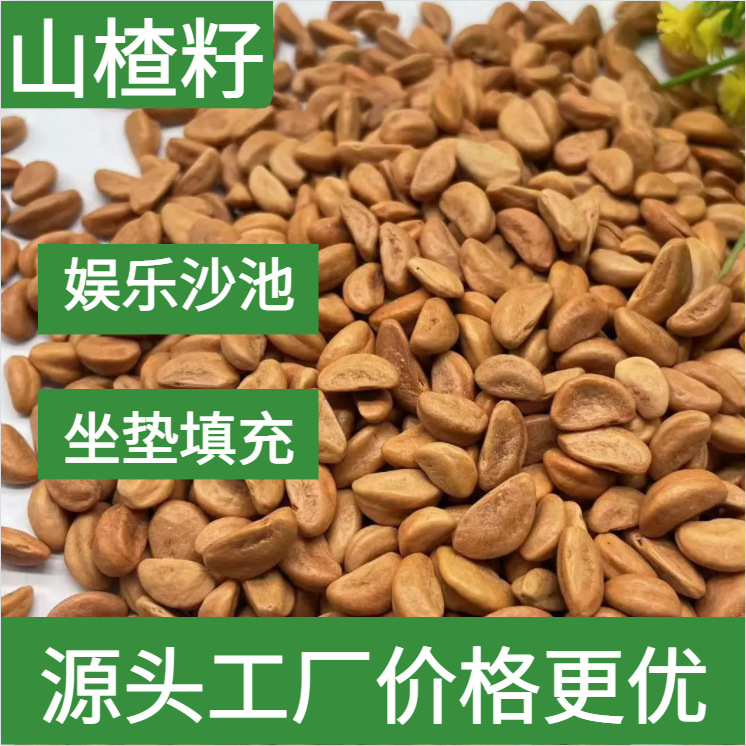 儿童游乐场沙池用水洗抛光山楂籽 汽车坐垫 颈椎枕填充用山楂子