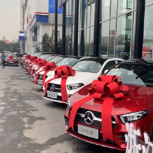 4s汽车交车仪式新车提车交车超大蝴蝶结装饰展厅展车大红花蝴蝶结