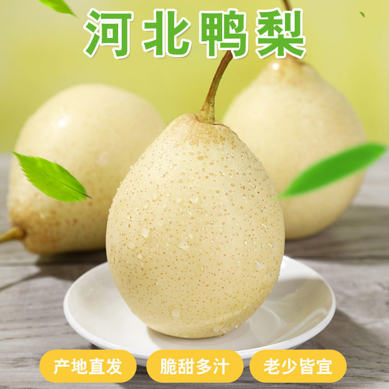 河北鸭梨新鲜带箱10斤多汁脆甜水果农家特产非雪梨砀山酥批发