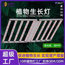 泰国大功率全光谱植物灯4x6ft大棚种植补光灯1200W植物生长灯工厂