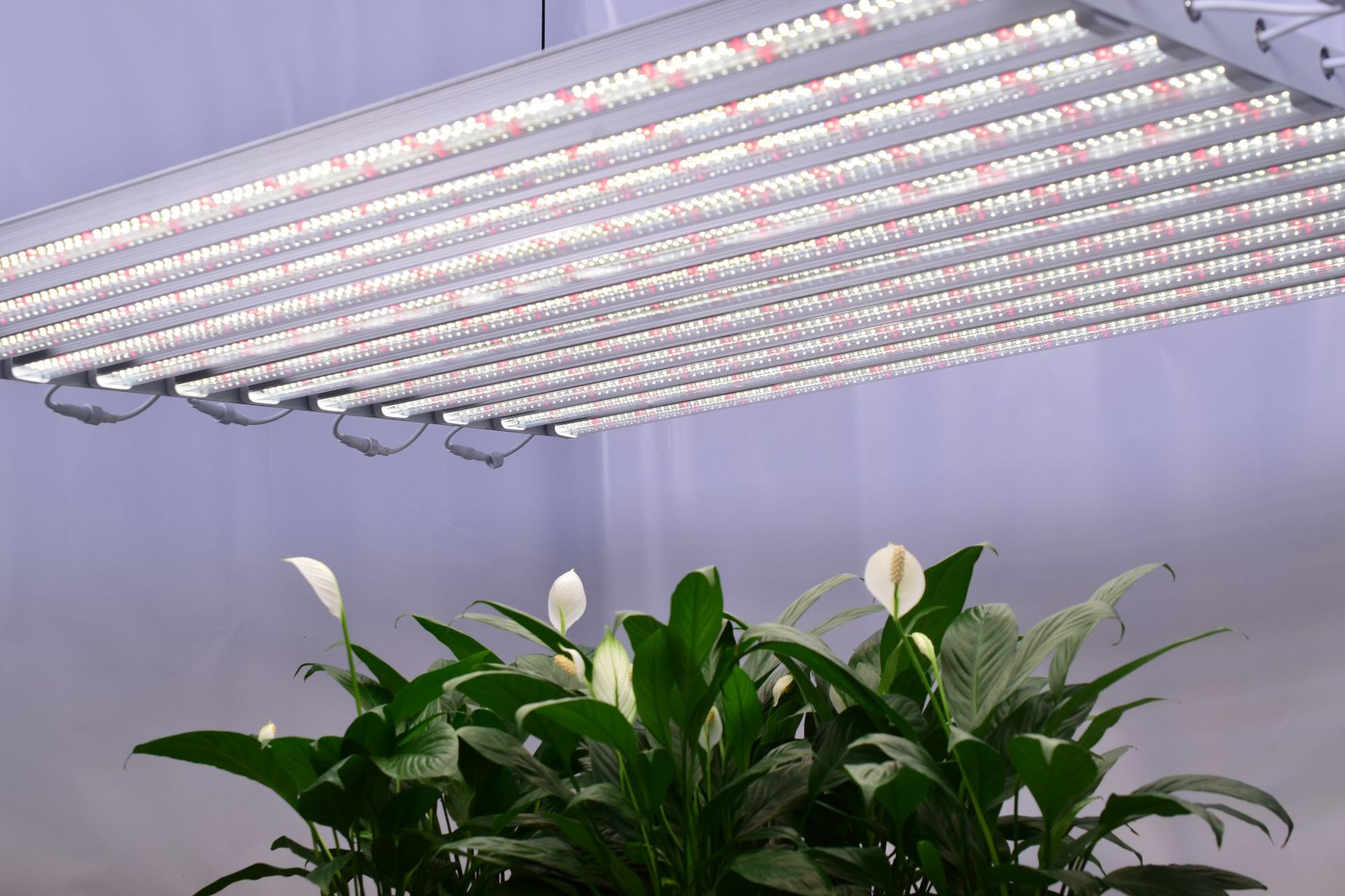 led植物生长灯大功率t12组合全光谱植物灯温室瓜果蔬菜多肉补光灯