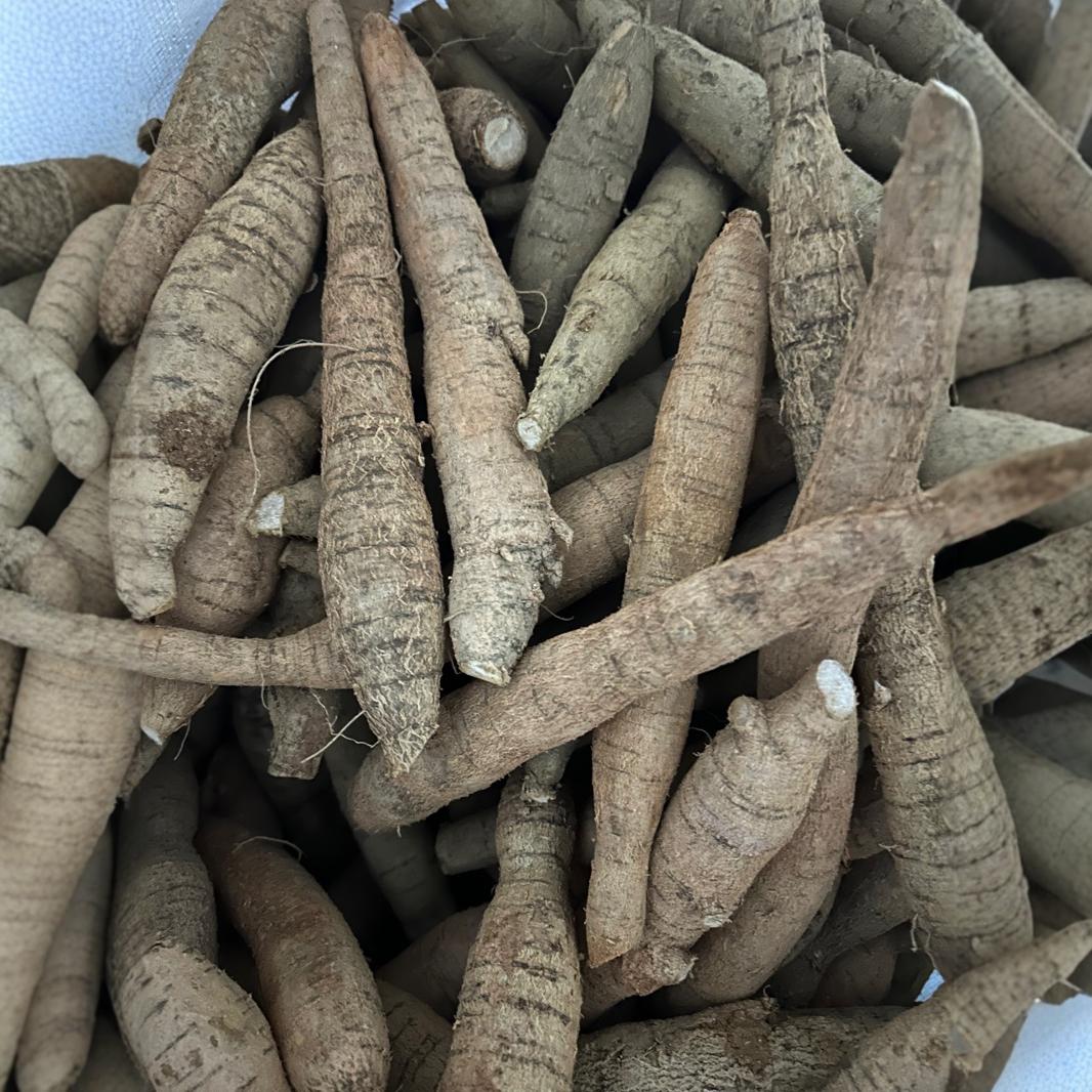 百草源牛大力薯新鲜货粉质中圆牛500g滋补煲汤泡酒正宗大叶牛批发