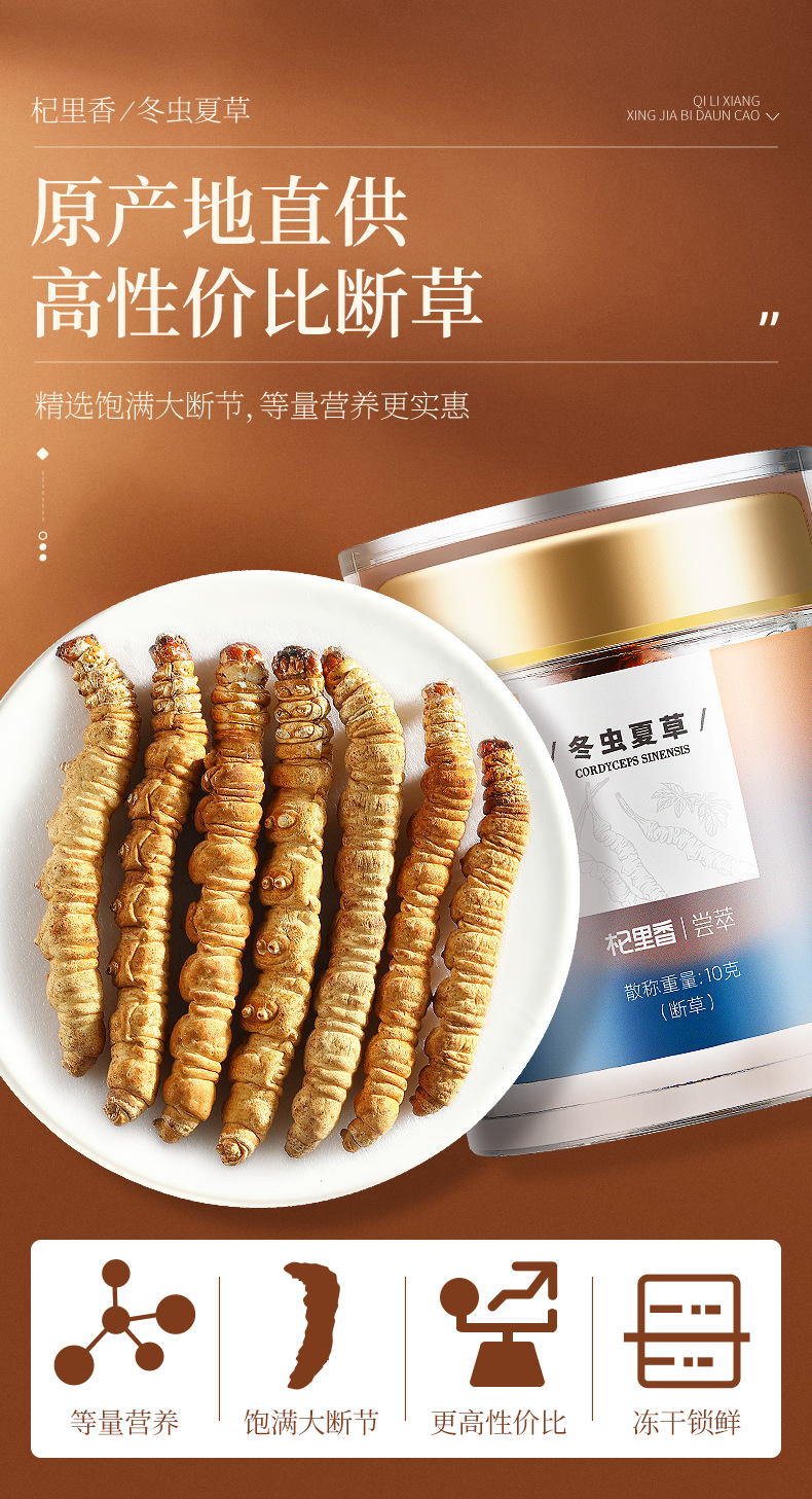产地货源 冬虫夏草10g装 西藏那曲冬虫夏草全干无断 中药材批发