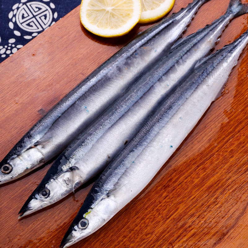 秋刀鱼新鲜冷冻大号鲜活海捕深海鱼日式烧烤即食食材整箱一件批发
