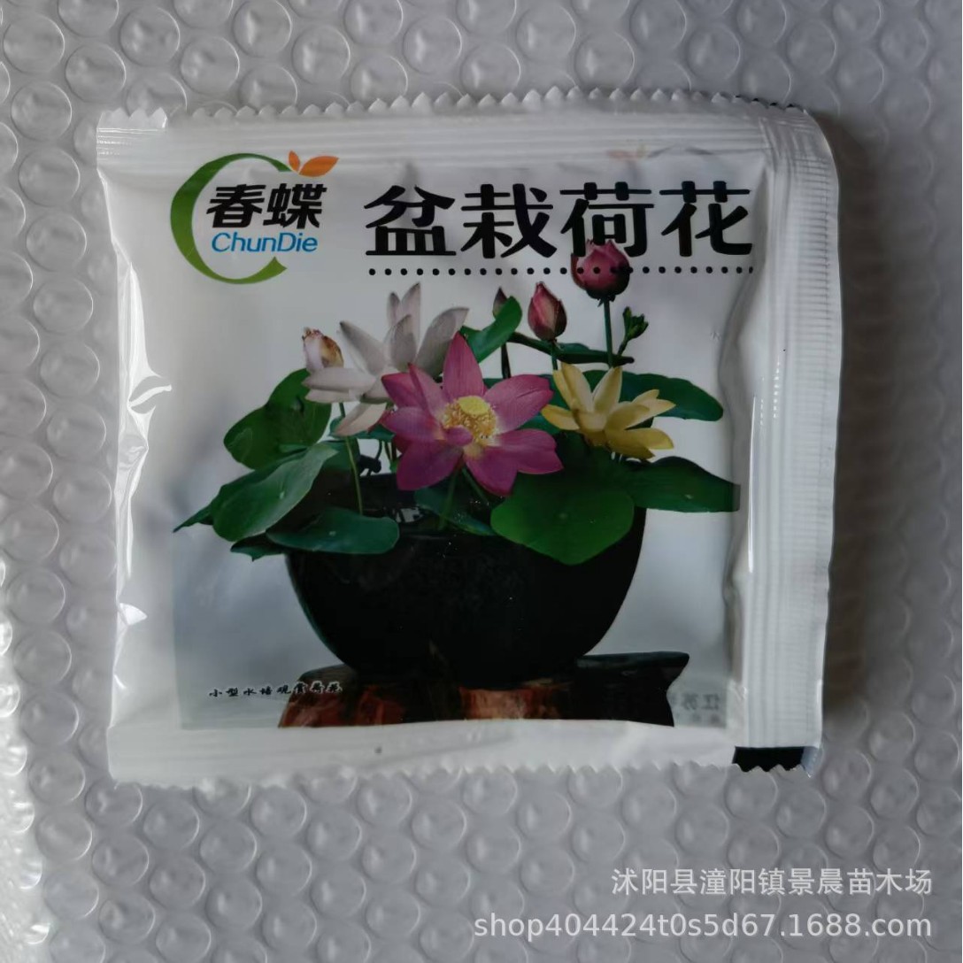 【跨境供货】专业透明中性包 加工彩色袋小包装花卉种子蔬菜种子