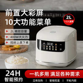 跨境2L迷你电饭煲2到3人多功能家用智能电饭锅小2人1-3人小型110v