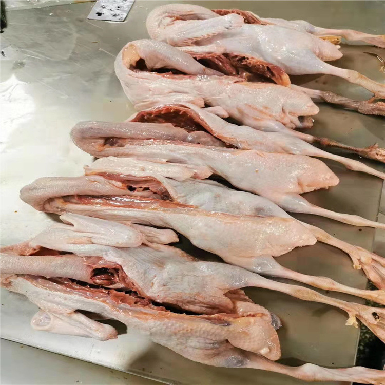 工厂直发开背麻鸭开背公鸭开背鸭批发冷冻开背鸭