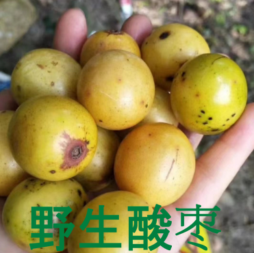 酸枣糕野生南酸角条手工百香果零食小吃江西云南福建阳朔桂林特产