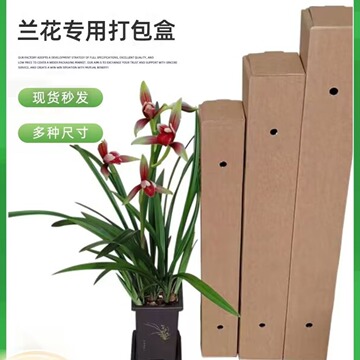 长方形纸箱打包盒鲜花纸盒快递包装瓦楞纸绿植小盆栽飞机盒现货