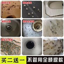 厂家直销去除厨房家里厕所卫生间清理下水道有小飞虫子药专用驱虫