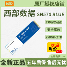 适用西部数据Blue SN570 250G/500G/1T/2TB台式笔记本 四通道PCIe