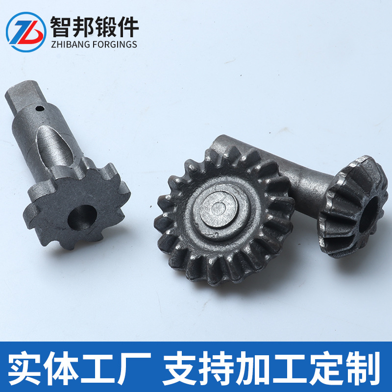 Forging Special-Shaped Parts Hot Cold Heading Special Bolts Special Special-Shaped Connecting Screws Non-Standard Various Special-Shaped Parts