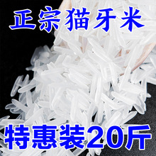 【超划算】绿宝贡猫牙香米煮饭软糯长粒香大米优质大米