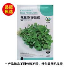 食用苜蓿菜种子野菜籽夏季紫花苜蓿芽四季新野菜特菜蔬菜种子