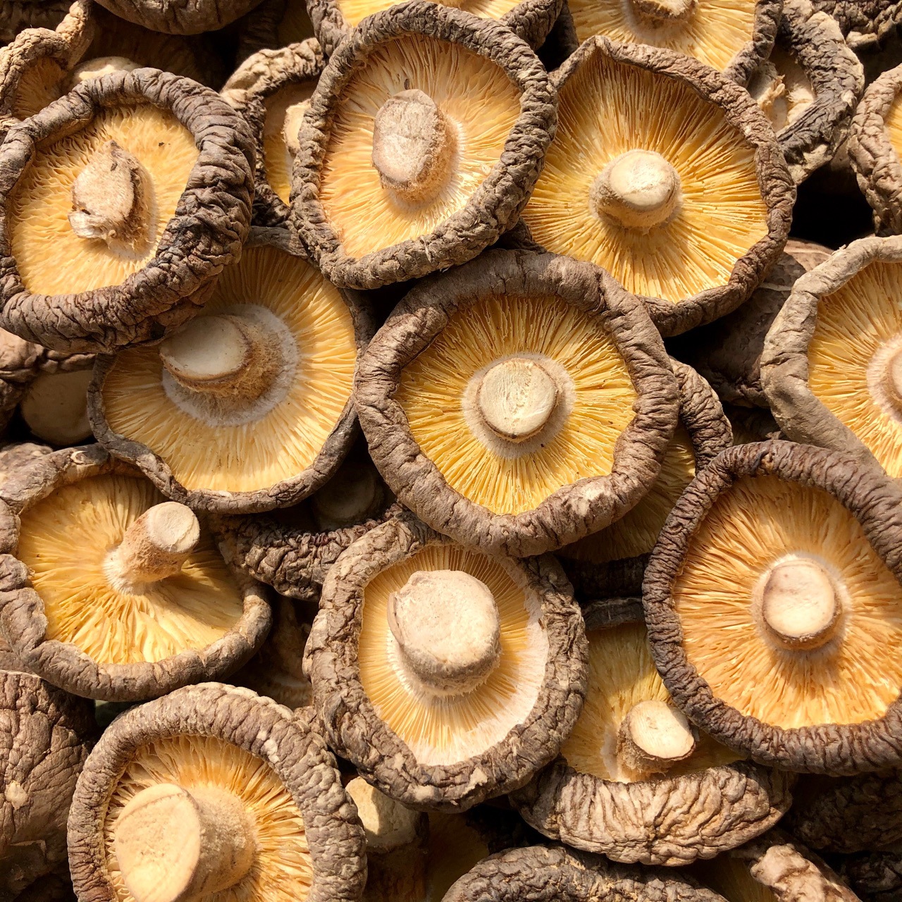大香菇干货蘑菇河南香菇食用菌肉厚冬菇农产品500g批发常年供应