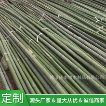 产地批发1至5米各种规格楠竹稍农用搭架竹竿山药种植养殖苗木支撑