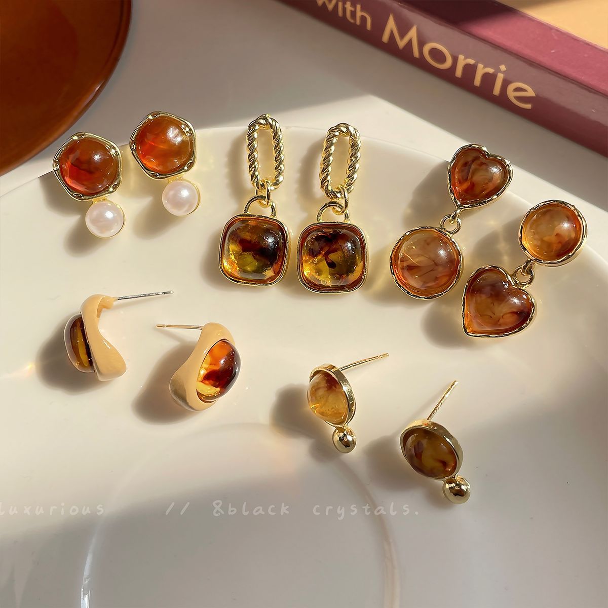 Autumn and Winter Simplicity Elegant Amber Earrings Women's Clear Geometric Niche Design Silver Needle Retro Maillard Earrings