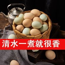 【粉绿混合装】鸡蛋新鲜土鸡蛋农家散养乌鸡蛋绿壳笨鸡蛋40枚