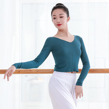 中国舞舞蹈服女成人长袖V领拉丁舞服芭蕾现代舞上衣教师艺考