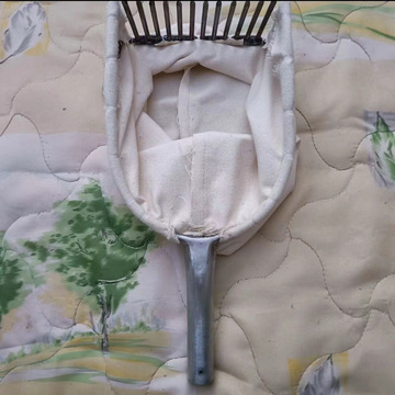 摘酸枣摘柏果摘柏树籽工具摘酸枣神器摘柏籽神器采摘神器山枣新款