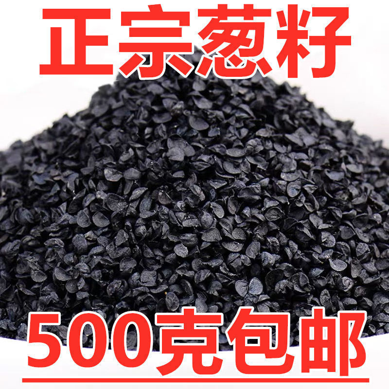 葱籽大葱种子熏牙虫散装包邮50-500g大葱籽葱子另有韭菜籽-阿里巴巴