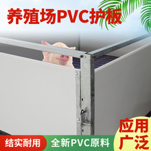 猪用PVC围栏板 养猪场设备中空板产床保育床护板保温箱板养殖设备