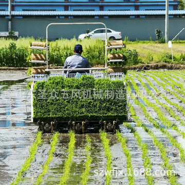 乘坐式高速低速六行水稻插苗机 不伤秧苗插秧机 水稻秧苗种植机