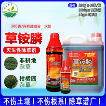 山东圣鹏九齿耙20%草铵膦草铵磷果园牛筋草小飞蓬除草剂农药