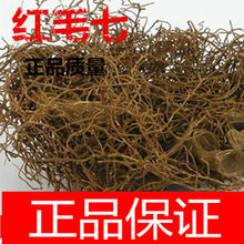 红毛七 红毛漆 类叶牡丹 鸡骨升麻 金丝七 包邮