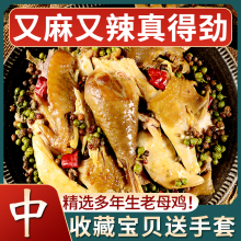 佳致椒麻鸡手撕麻椒鸡整只河南特产烧鸡熟食真空麻辣鸡藤椒鸡