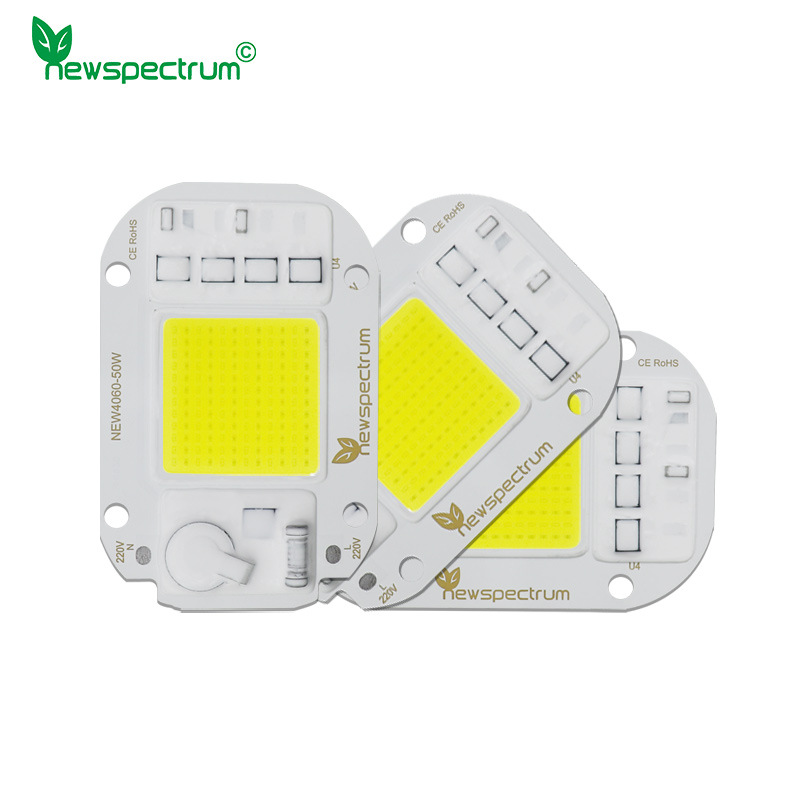 50W免驱动cob光源AC220V集成led灯珠户外灯具专用款cob灯珠大功率