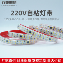 LED灯带高压220V2835灯珠240珠双排高亮户外家用自粘防水灯带