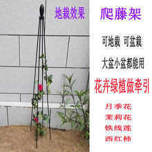 8BWI四角花架铁线莲茉莉花造型塔型支架户外阳台园艺月季支撑爬藤