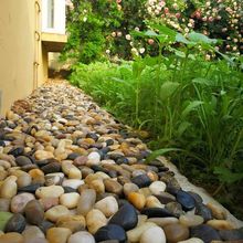 天然鹅卵石铺路铺地庭院花园造景雨花石大小石头抛光精品五彩鹅软