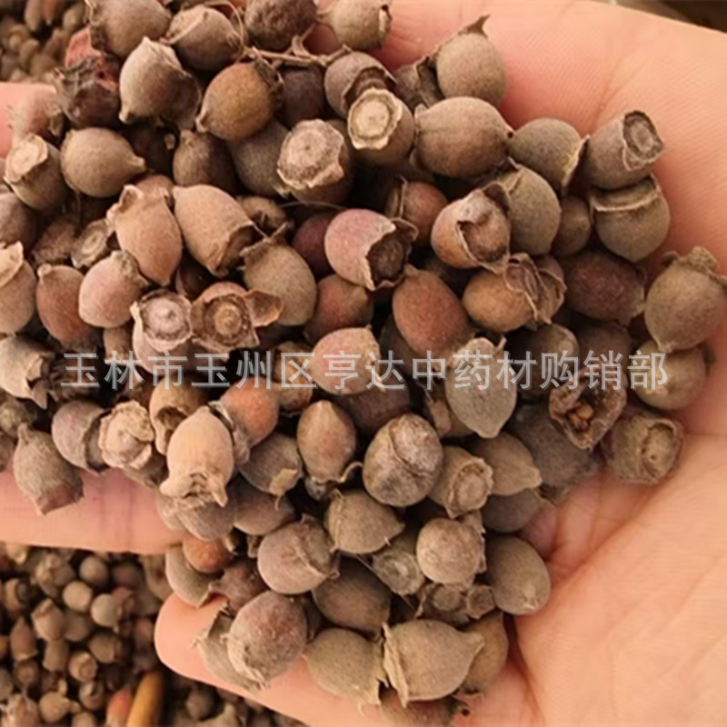 深山捻子干 生晒稔子 捻子干货 桃金娘果泡酒料