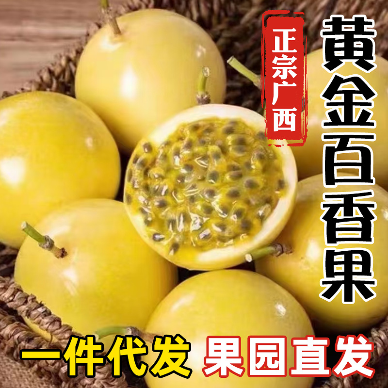 广西钦蜜9号黄金百香果新鲜夏季水果纯甜5斤一级特大