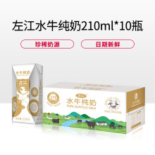 左江水牛纯奶210ml*10盒整箱儿童营养早餐水牛奶