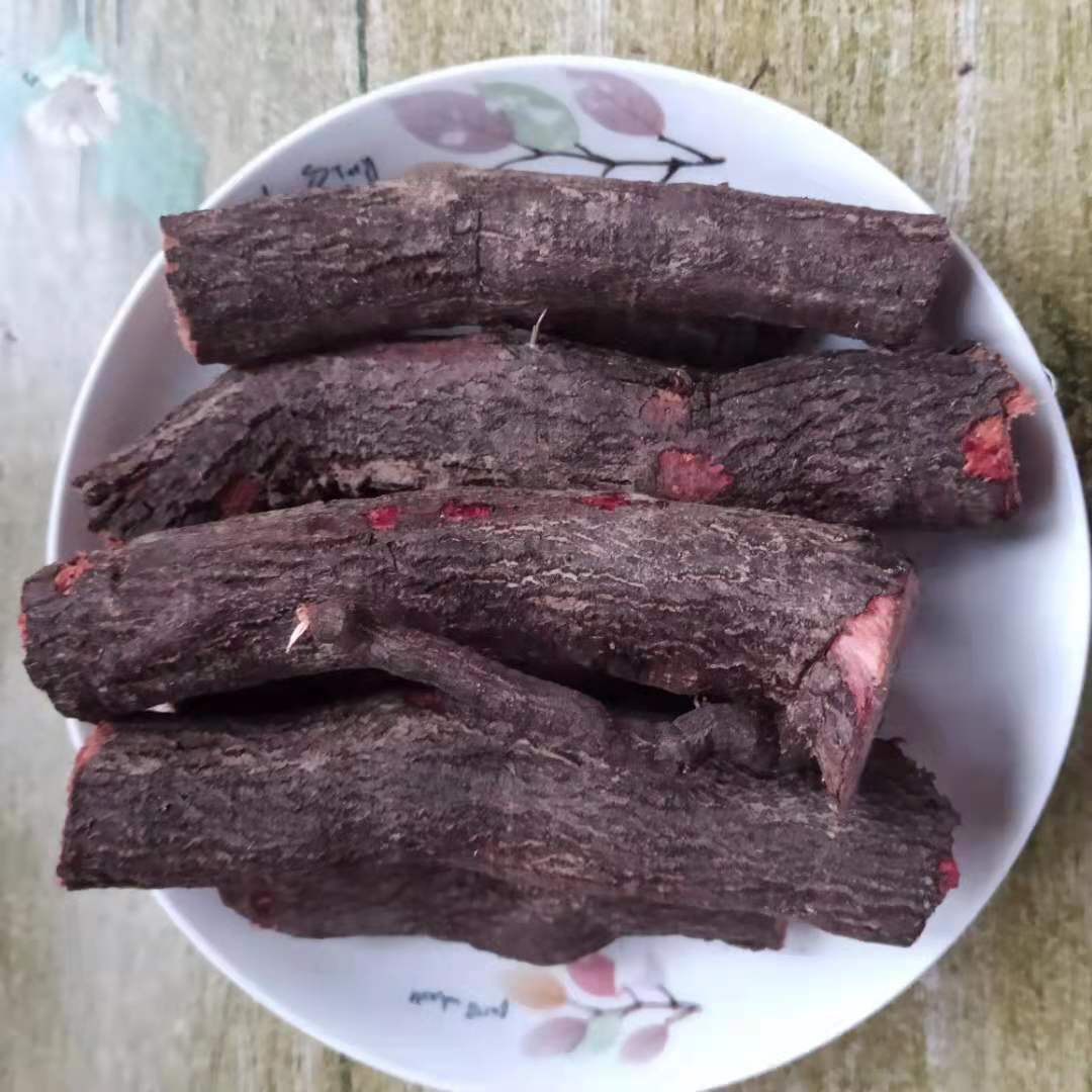 新鲜枣树根枣树根酸枣跟大枣树根现挖晒干包邮新货