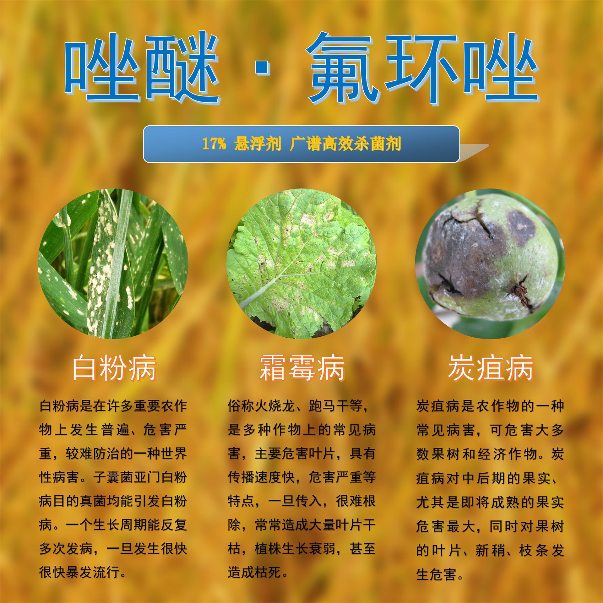 鲁抗唑醚·氟环唑吡唑氟环唑小麦水稻白粉病炭疽病杀菌剂100克