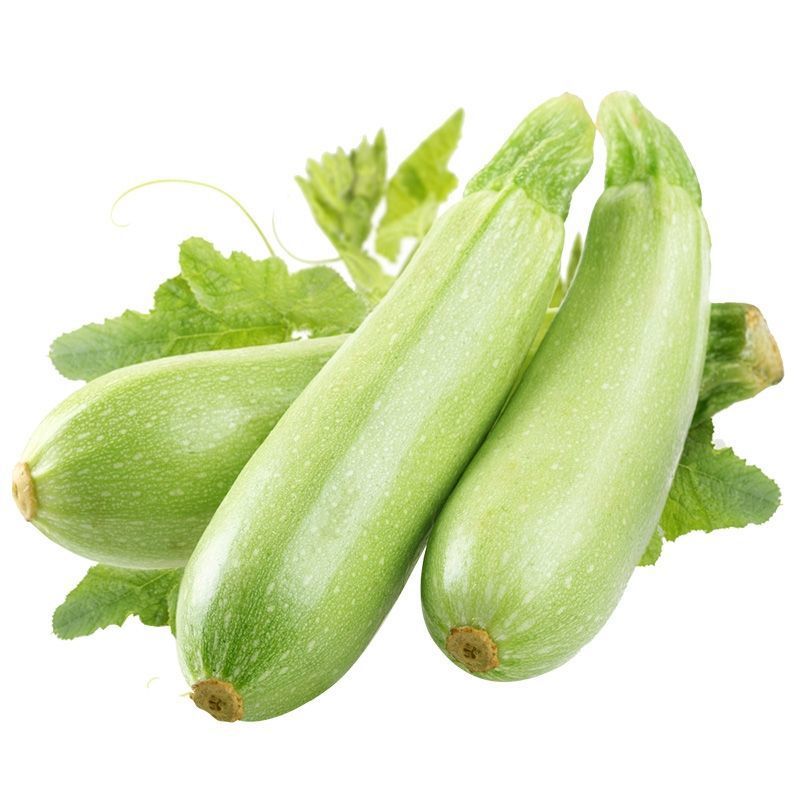 西葫芦种子苗产阳台四季盆栽西胡芦种籽蔬菜春季蔬莱瓜孑瓜苗